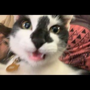 Meet your Posher, Seth